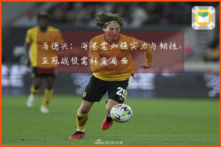马德兴：海港需加强实力与韧性，亚冠战役需转变局面