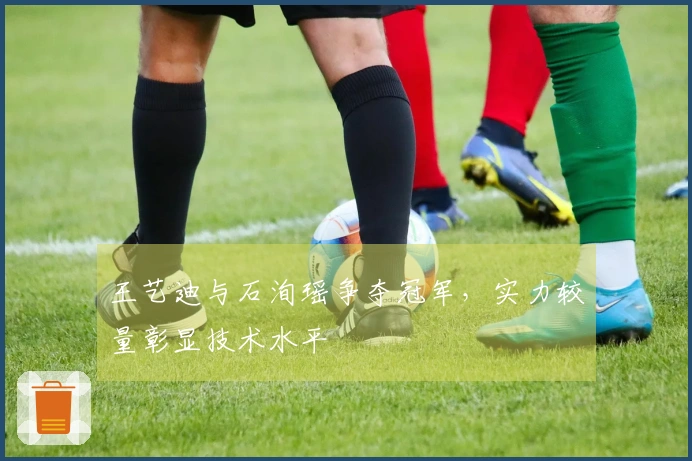 王艺迪与石洵瑶争夺冠军，实力较量彰显技术水平