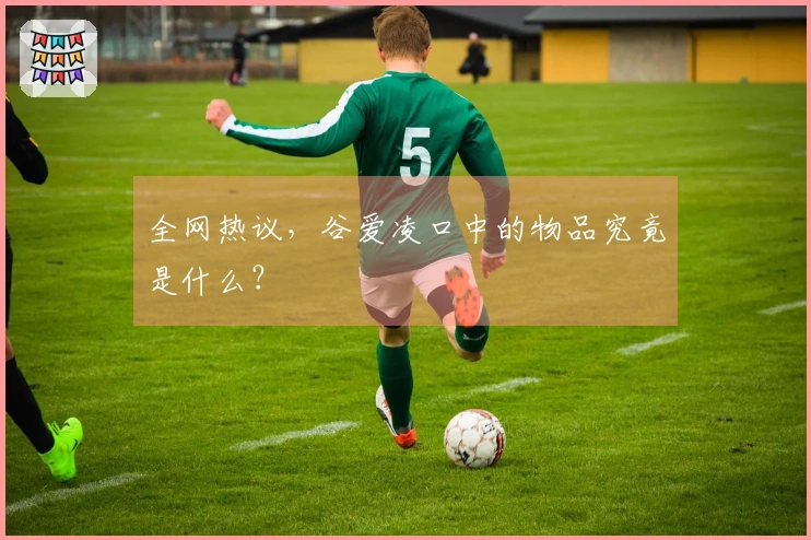 全网热议，谷爱凌口中的物品究竟是什么？